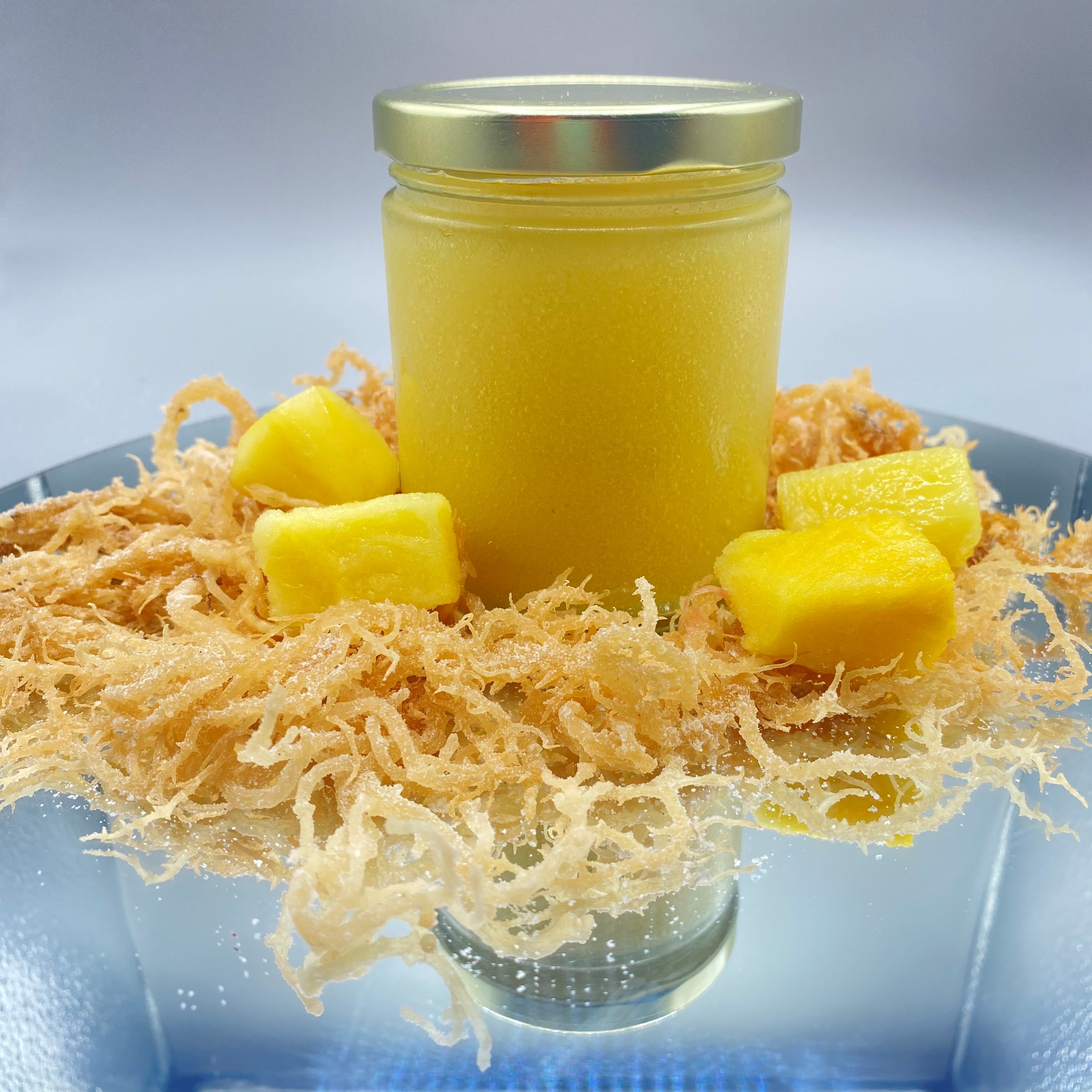 Pineapple Infused SeaMoss Gel – The Sea Moss Boss